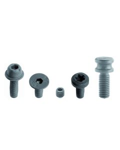 Screw for router bits